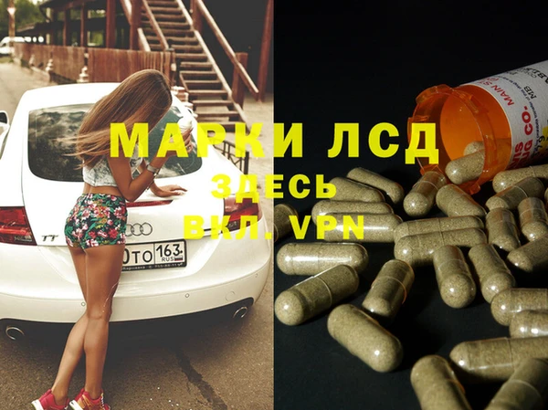 сатива Новозыбков