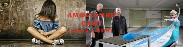 сатива Новозыбков