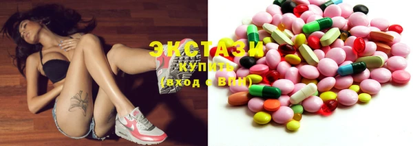 сатива Новозыбков