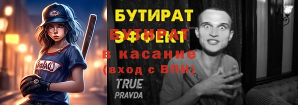 сатива Новозыбков