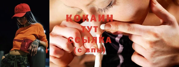 сатива Новозыбков