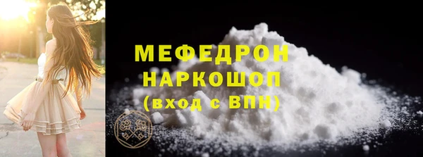сатива Новозыбков
