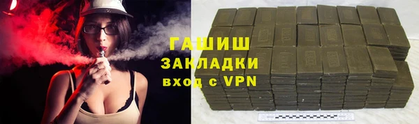 сатива Новозыбков