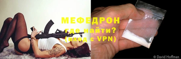 сатива Новозыбков
