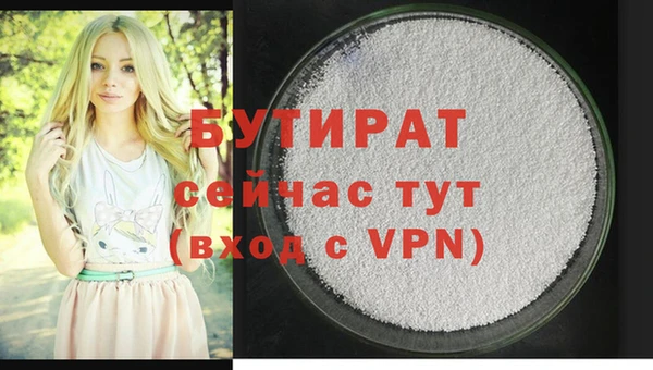 сатива Новозыбков