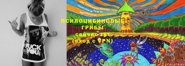 мяу мяу мука Новокубанск