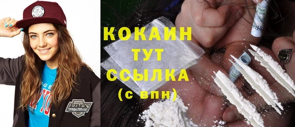 сатива Новозыбков