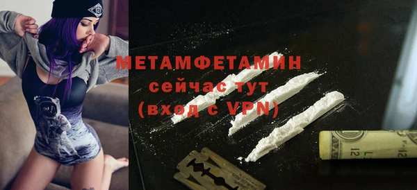 сатива Новозыбков