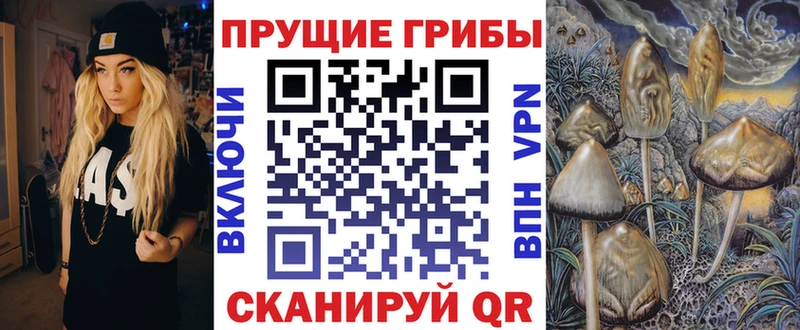 купить наркоту  Коркино  omg зеркало  Галлюциногенные грибы GOLDEN TEACHER 