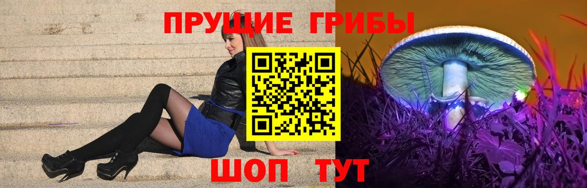 Коркино  Псилоцибиновые грибы прущие грибы  Вход с VPN 